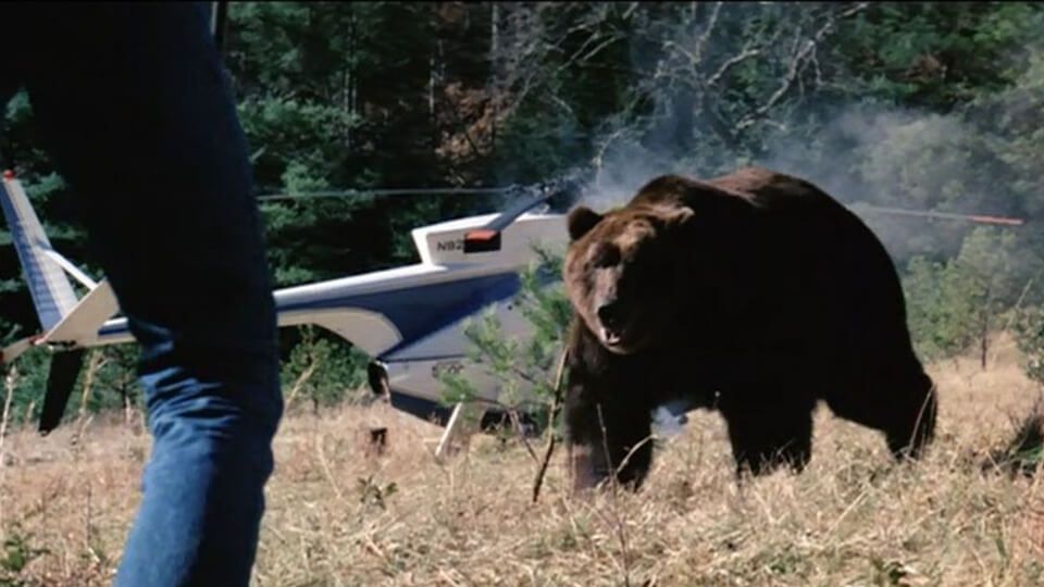 GRIZZLY (1976)