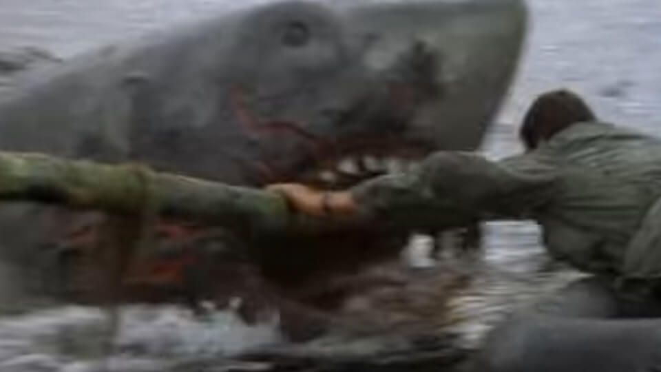 JAWS 2 (1978)