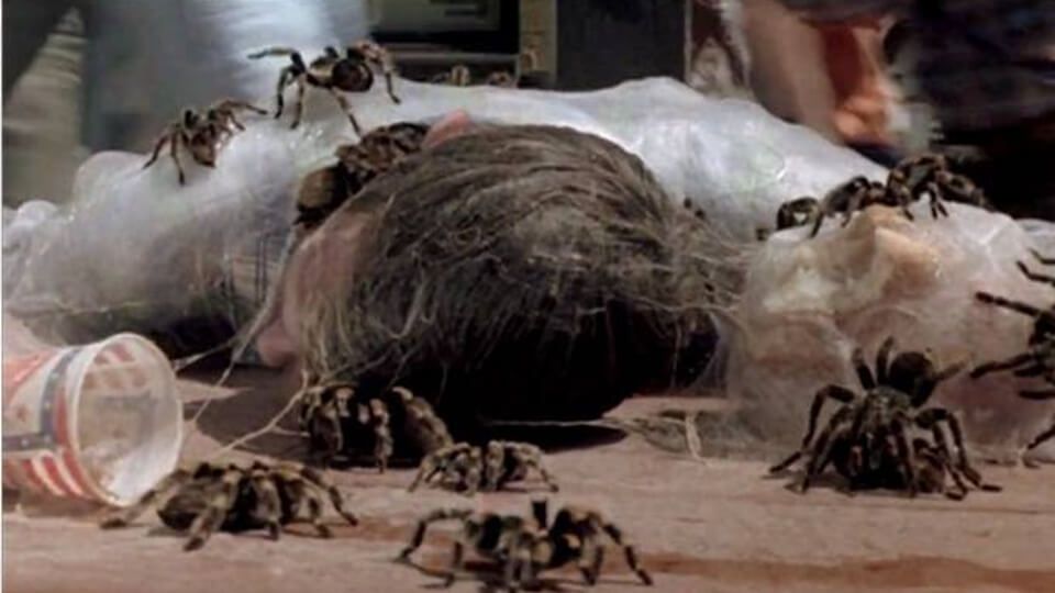 KINGDOM OF THE SPIDERS (1977)