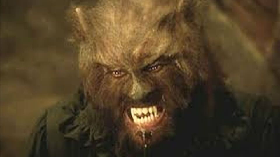 The Night of the Werewolf (1981)